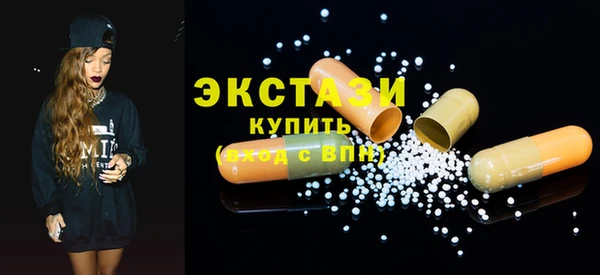 индика Тобольск