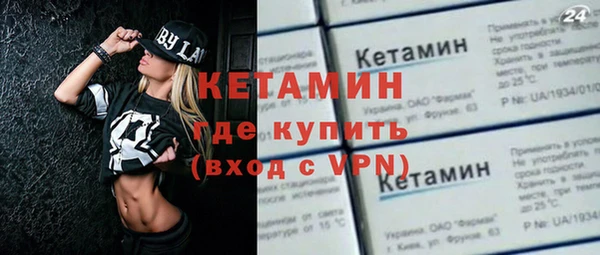 индика Тобольск
